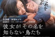 她不知道名字的那些鸟儿