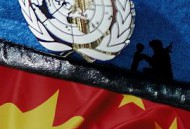 蓝盔特战队MP4格式