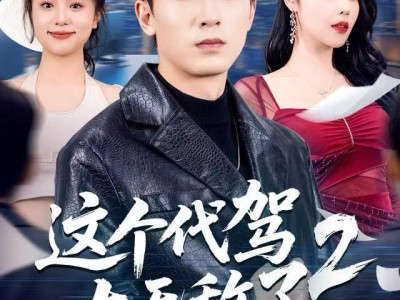 这个代驾太无敌了2