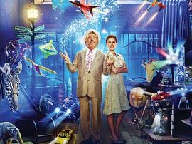 马格瑞姆的神奇玩具店