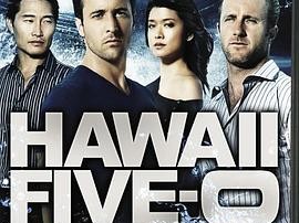 夏威夷特勤组第二季