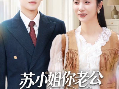 苏小姐你老公是宠妻狂