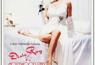 好莱坞明星宝贝