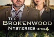 断林镇谜案第四季