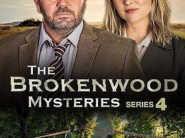 断林镇谜案第四季