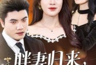 胖妻归来，赘婿别想逃