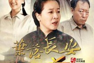 叶落长安MP4格式