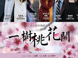 一树桃花开王志文版MP4格式