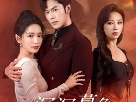 沉沉暮色向林晚