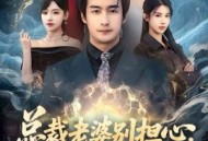 总裁老婆别担心，我医武双绝