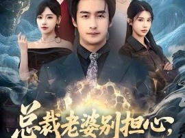 总裁老婆别担心，我医武双绝