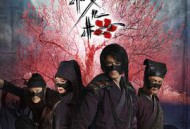 怪侠一枝梅2010MP4格式