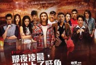 那夜凌晨，我坐上了旺角开往大埔的红VAN