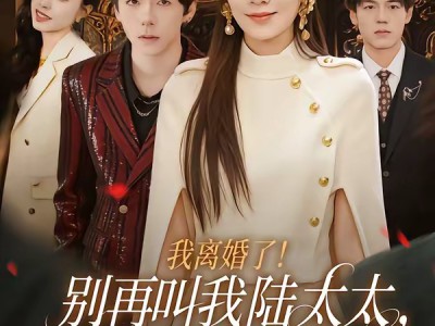 我离婚了！别再叫我陆太太，叫沈总