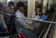 我和教授“羊粪豆”