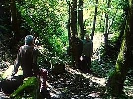 阿蒂米德的膝盖