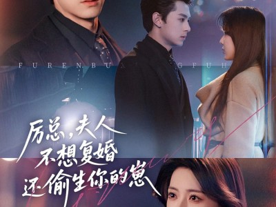 厉总，夫人不想复婚还偷生你的崽