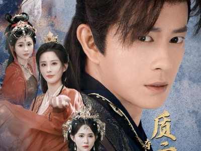 夺嫡之质子无双