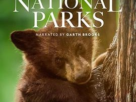 美国国家公园之旅