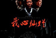 我心灿烂王志文版MP4格式