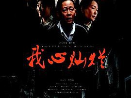 我心灿烂王志文版MP4格式