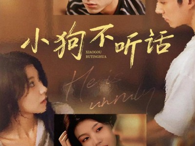 小狗不听话