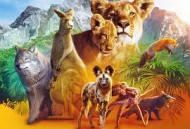 动物本色第一季