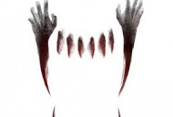 铁杉树丛第二季