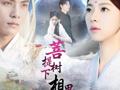 菩提树下相思烬