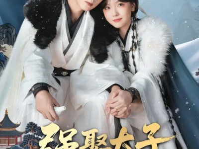 强娶太子做夫君