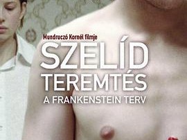 弗兰肯斯坦计划