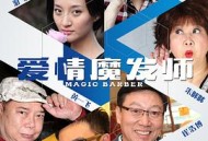 爱情魔发师2015