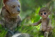 荒野间谍第二季