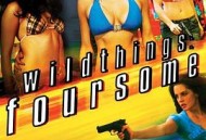 玩尽杀绝4：四人组