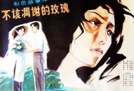 不该凋谢的玫瑰