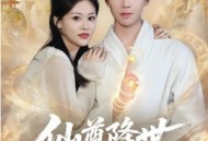 仙尊降世沦为上门郎