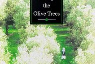 橄榄树下的情人