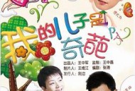 我的儿子是奇葩MP4格式