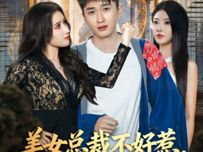 美女总裁不好惹，小神医专治不服