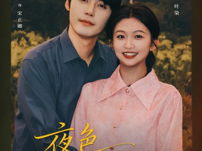 夜色卿卿染