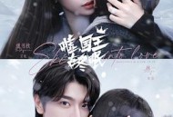 嘘，国王在冬眠MP4格式