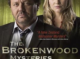 断林镇谜案第一季