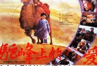 驼峰上的爱