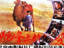 驼峰上的爱