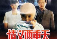 情义两重天2000