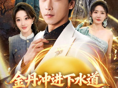 金丹冲进下水道貔貅丹道朝天啸