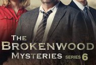 断林镇谜案第六季