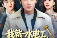 我就一水电工，你让我修大坝