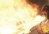 97年兵马俑复活事件揭秘 盗墓贼真的是兵马俑复活打死的吗？_灵异鬼话_UFO发现网