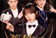 旋风魔术师第二季